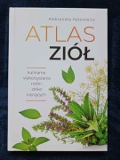 Atlas ziół kulinarne wykorzystanie roślin dzikich duża książka