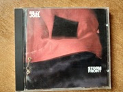 Billy Joel Storm Front