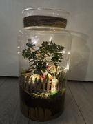 Las w słoiku własne wykonanie. Żywa roślina 
