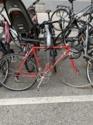 Vintage 1985 Italian Bottecchia Competizione Campagnolo Triomphe