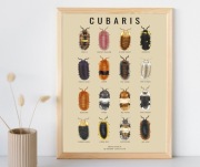 Plakat A3 Cubaris Izopody- beżowy