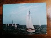 Regaty żeglarskie pocztówka Na pierwszym planie jacht Pluton 1965 r.