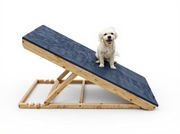 rampa dla psa regulowana duża