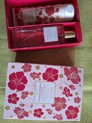Zestaw perfum Delicate Cherry Blossom 50ml i balsam 100ml Oriflame 