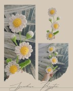 Stokrotka, rumianek na szydełku, kwiat gałązka 