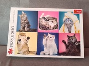 Puzzle koty kotki Trefl 500 elementów j.nowe