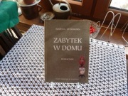 Zabytek w domu - poradnik -  Bożena Steinborn