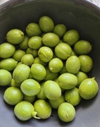 Orzechy włoskie świeże zielone na nalewkę  1 kg - przedsprzedaż 2026 