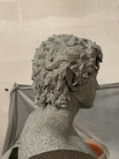 Astarion Popiersie Baldurs Gate Druk 3D