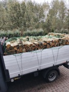 drewno suche topola olcha mieszanka brzoza