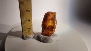 48. bursztyn bałtycki INKLUZJA naturalny duża mucha jantar inkluzjami