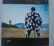 Delicate Sound Of Thunder - Pink Floyd No 1 EX Melodia