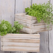 Osłonka skrzynka skrzyneczka kwadratowa białe drewno - 2 sztuki