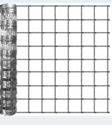 Siatka Leśna 80 cm wysoka 