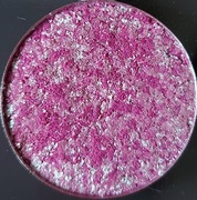 Starlight - The Pastel Roses - cień perłowy (swatchowany)