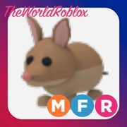 Roblox Adopt Me Bandicoot MFR
