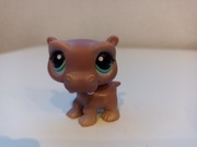 Littlest pet shop hipopotam #1415 + dodatek 