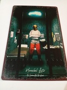 Tablica metalowa do powieszenia Hannibal Lecther horror 30x20 cm