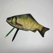 Piórnik Ryba Karp Sum Dorsz Wędka Zabawny Wędkarski Haczyk Spławik