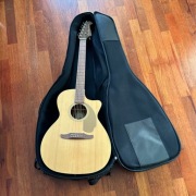 Fender Newporter Player WN Natural