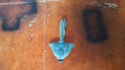Star Wars Galoob Micro Machines Star Wars Otoh Gunga Gungan 
