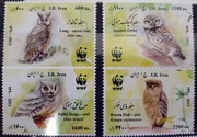 Fauna zwierzęta ptaki sowy WWF Iran