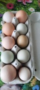 Jajka wiejskie od szczęśliwych kurek