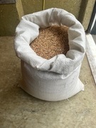 Pszenica zimowa 25 kg – idealne dla kur, kaczek i gołębi