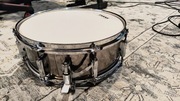 werbel 5,5 x14 Pearl export