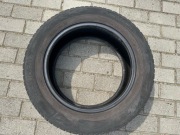 Opony Nokian 205/60R16 92H WR D4 4219 (zima)