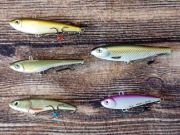 Zestaw markowych 5 woblerów Boleń, Sandacz