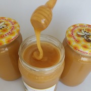 Miód Mniszkowy świeży 100% na lepszą pracę wątroby i dróg żółciowych.