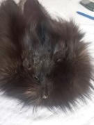 Szal z lisa ciemny brąz