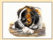 OBRAZEK - pies - rysunek kredkami