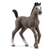 Schleich źrebak Francais, Haflinger, Paso Peruano 