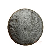 Boratynka Patynka NAJTANIEJ 104