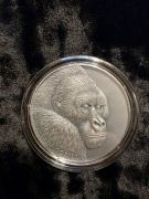 MOUNTAIN GORILLA-Expressions of Wildlife