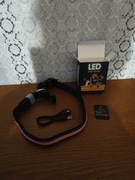 Obroża dla psa LED 
