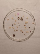 Sprężynki do osadzania kamieni łożyskujących. Części zegarmistrzowskie.