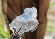 Niebieski Halit - rzadko spotykany #6