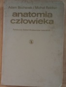 Anatomia człowieka. A. Bochenek 