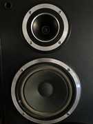 Altus 300 do regeneracji