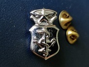 US Air Force Chief Nurse Corps