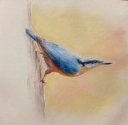 Kowalik obraz pastele 32x32 cm oryginał