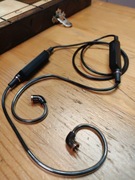 Whizzer AM2 2 Pin 0.78mm moduł bezprzewodowy.