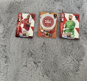 karty FIFA world cup qatar2022 denemark