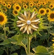 Stara broszka, broszka vintage