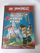 książka lego ninjago używany
