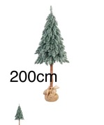 Choinka 200cm na pniu