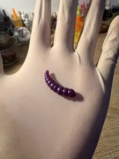 Larwa 3cm fioletowa 10szt